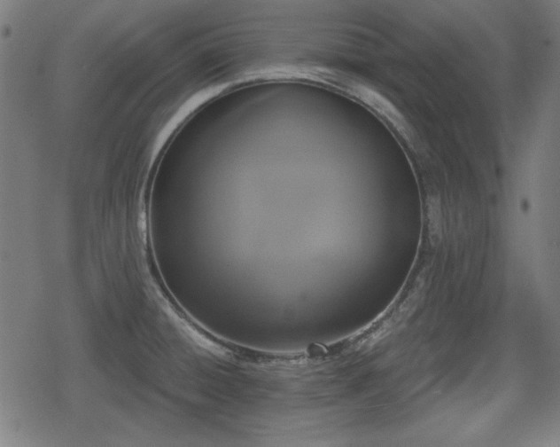 X0000078291428200611101057