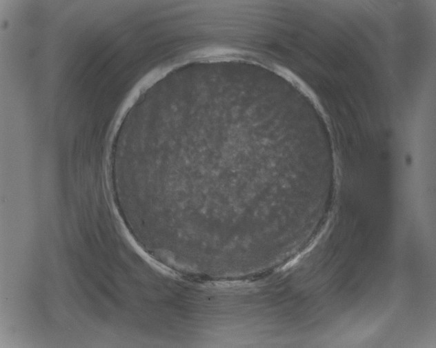 X0000078291429200611101057