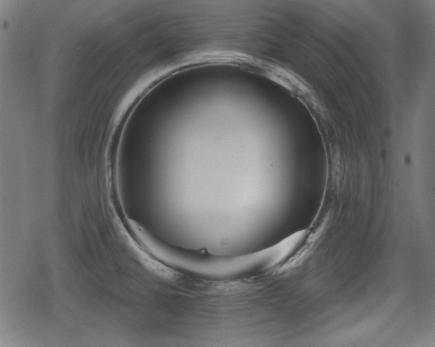 X0000078291430200611101057