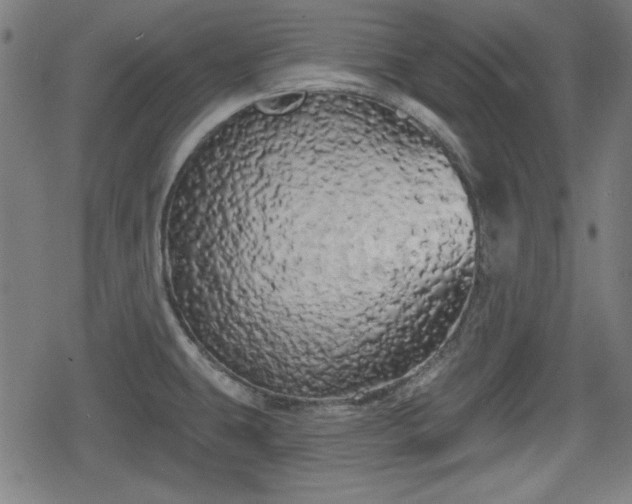 X0000078291431200611101057