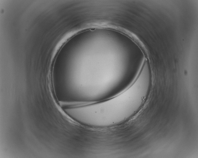 X0000078291432200611101057