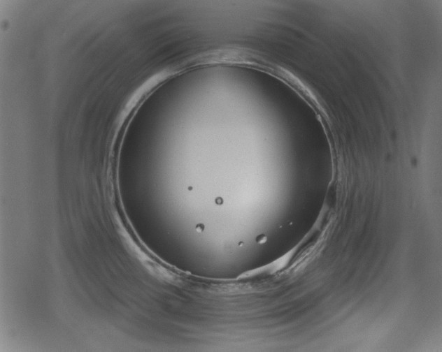 X0000078291434200611101057