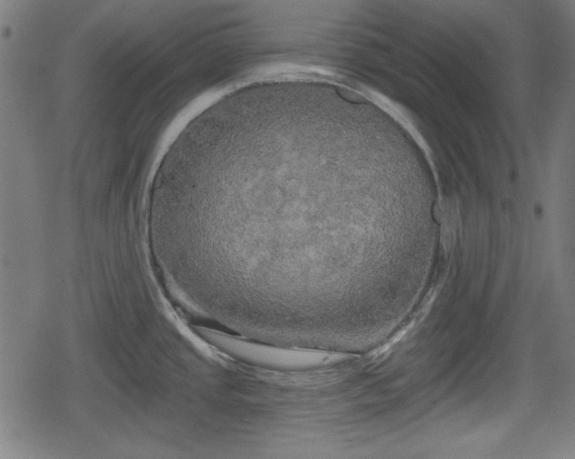 X0000078291437200611101057