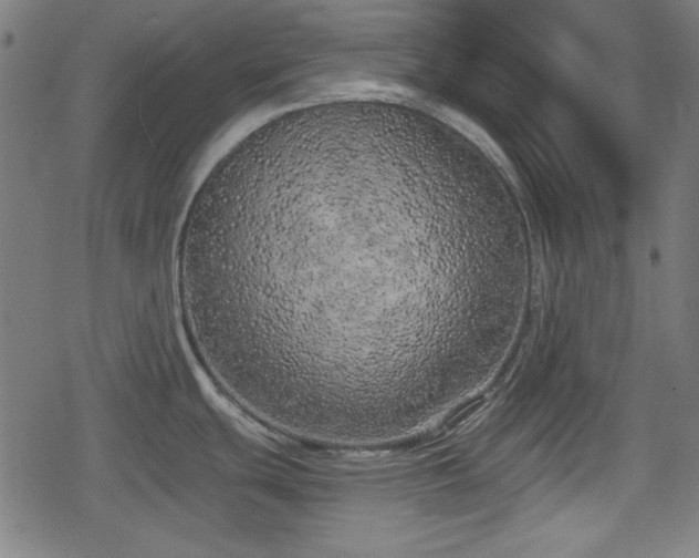 X0000078291439200611101057