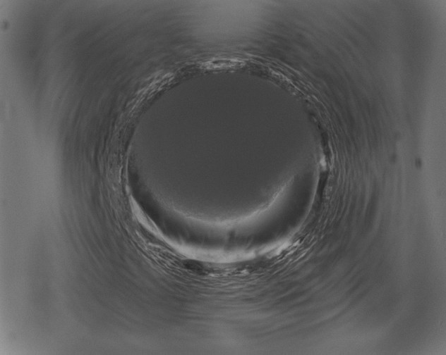 X0000078291441200611101056