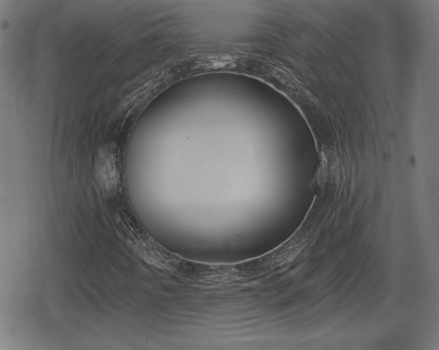 X0000078291442200611101056