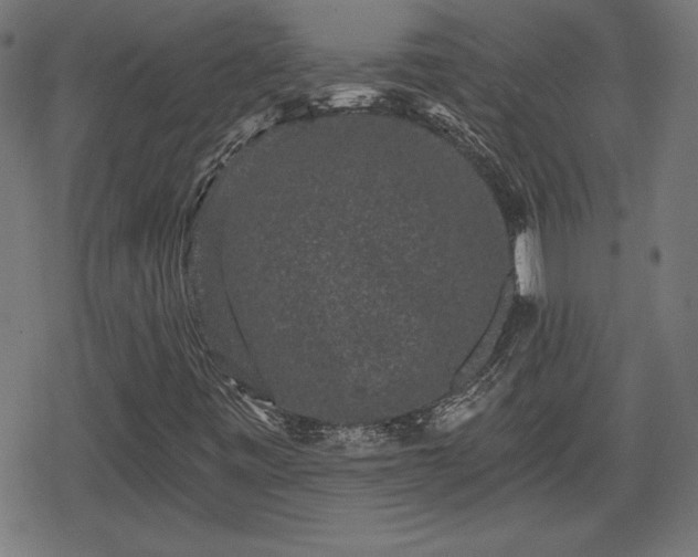 X0000078291443200611101056