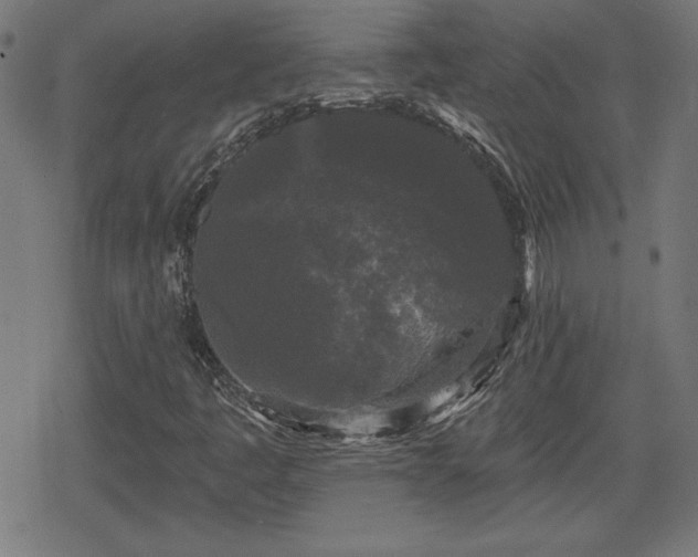 X0000078291445200611101056