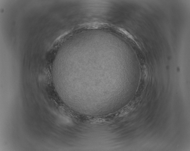 X0000078291446200611101056