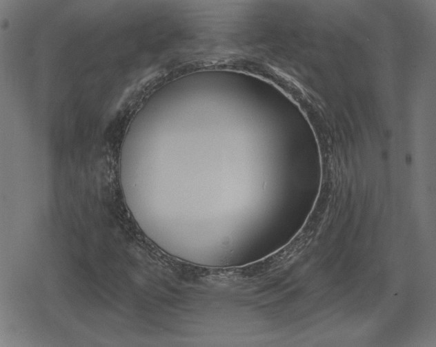 X0000078291447200611101056