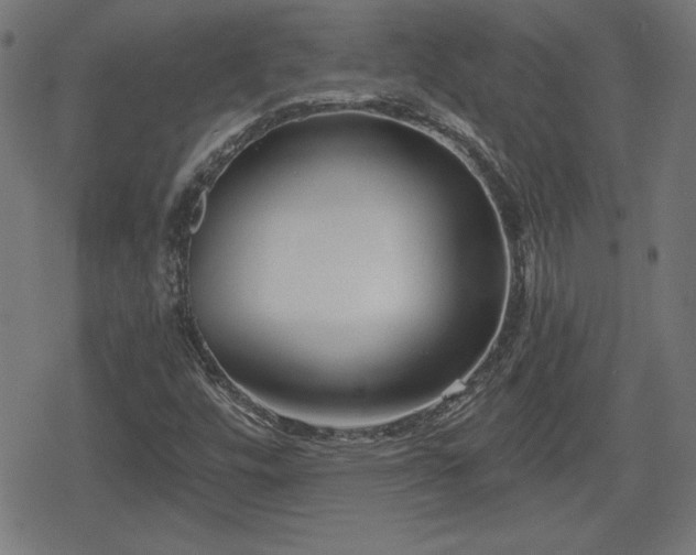 X0000078291448200611101056