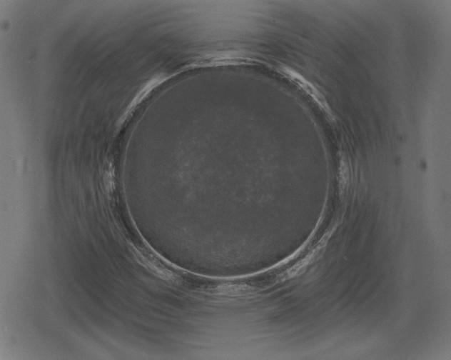 X0000078291449200611101056