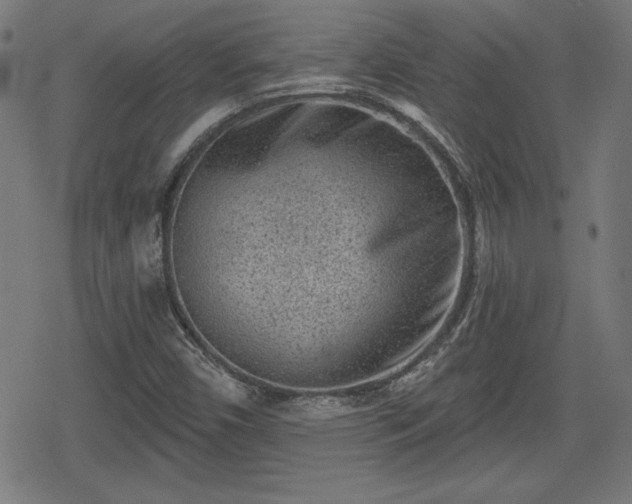 X0000078291450200611101056