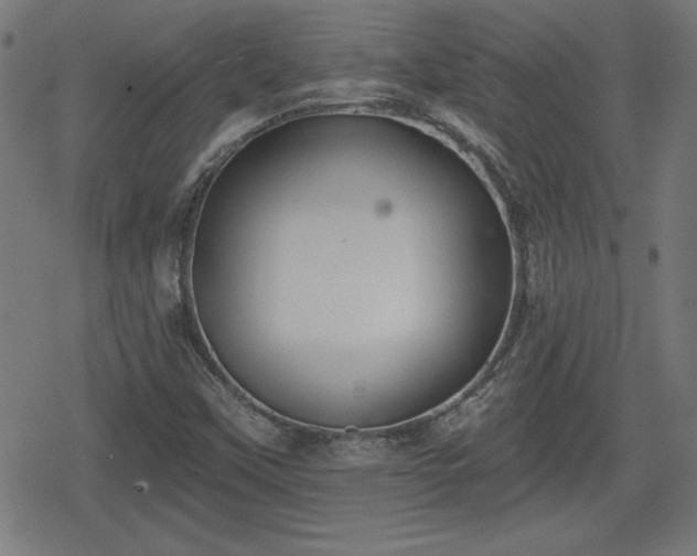 X0000078291451200611101056