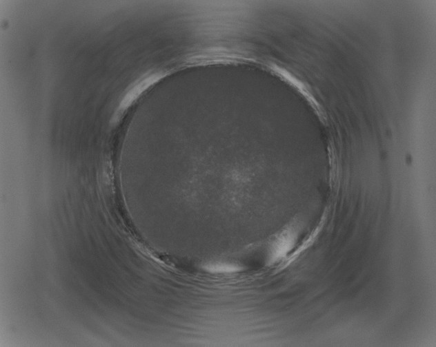 X0000078291453200611101056