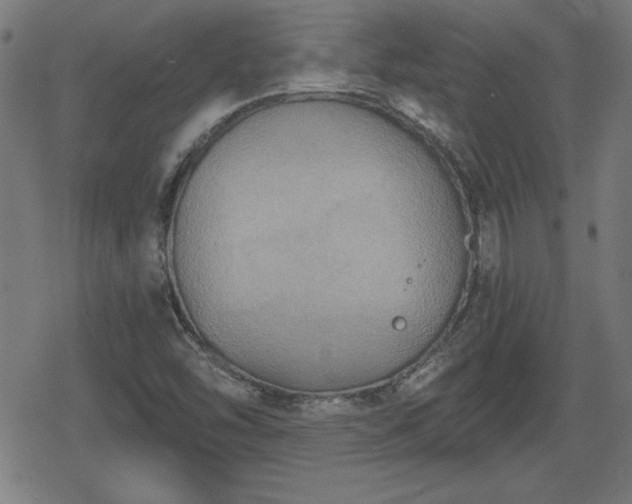 X0000078291454200611101056