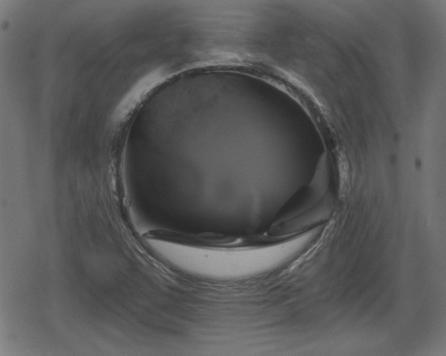 X0000078291455200611101056