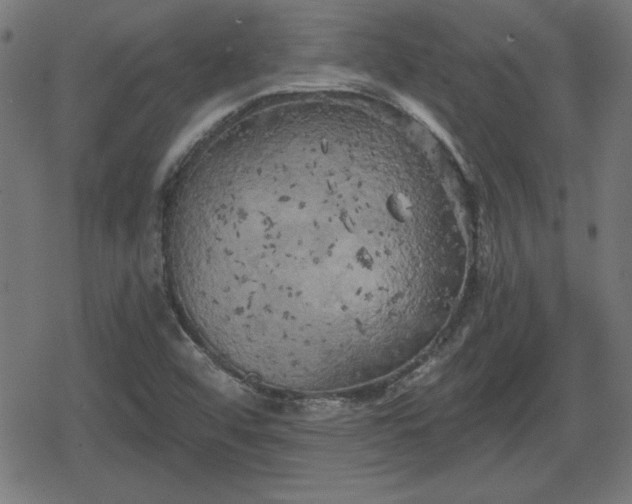 X0000078291456200611101056