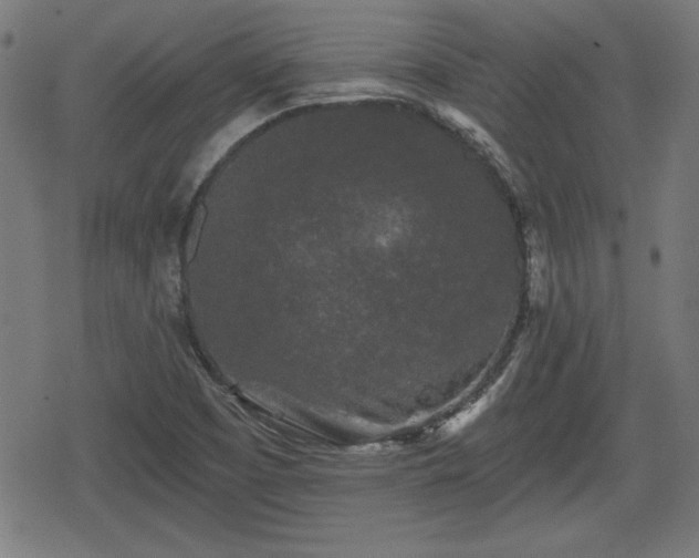 X0000078291457200611101056