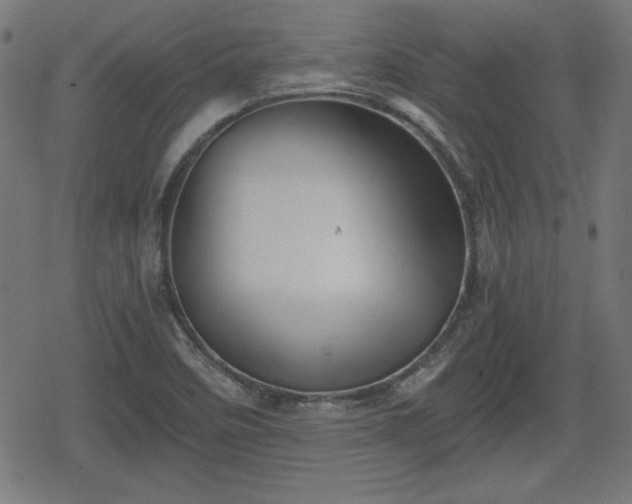 X0000078291458200611101056