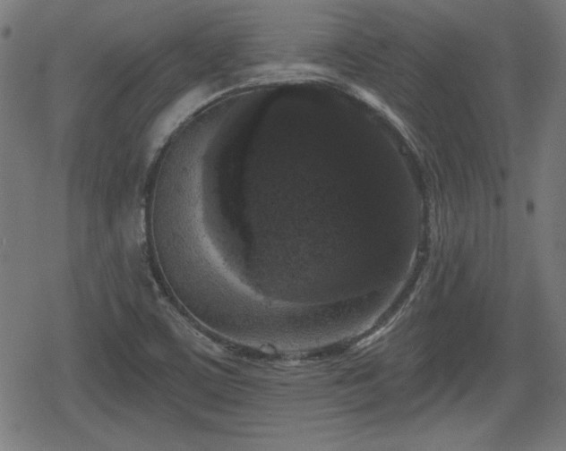 X0000078291459200611101056