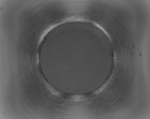 X0000078291461200611101056