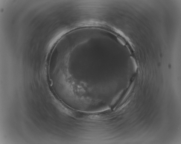 X0000078291463200611101056