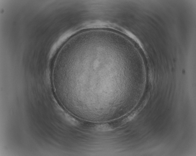 X0000078291464200611101056