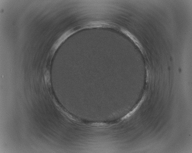 X0000078291465200611101056