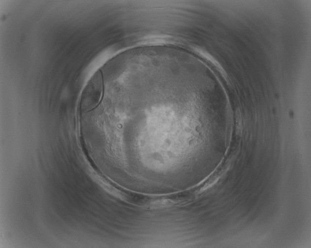 X0000078291467200611101056