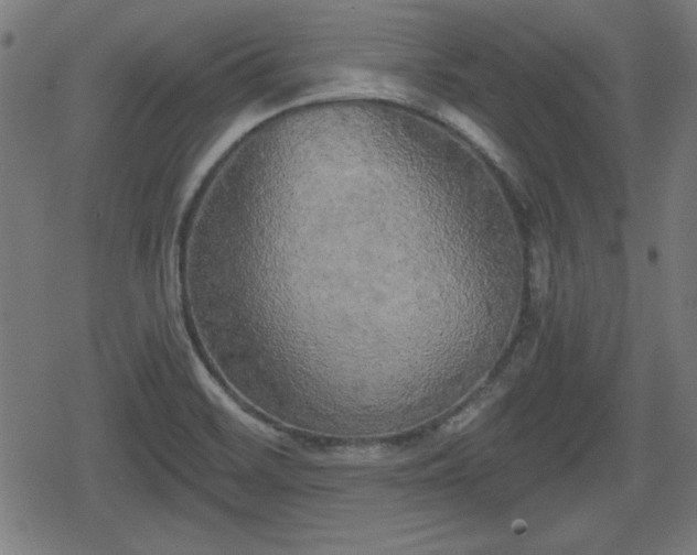 X0000078291468200611101056