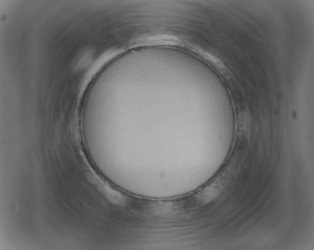 X0000078291470200611101056