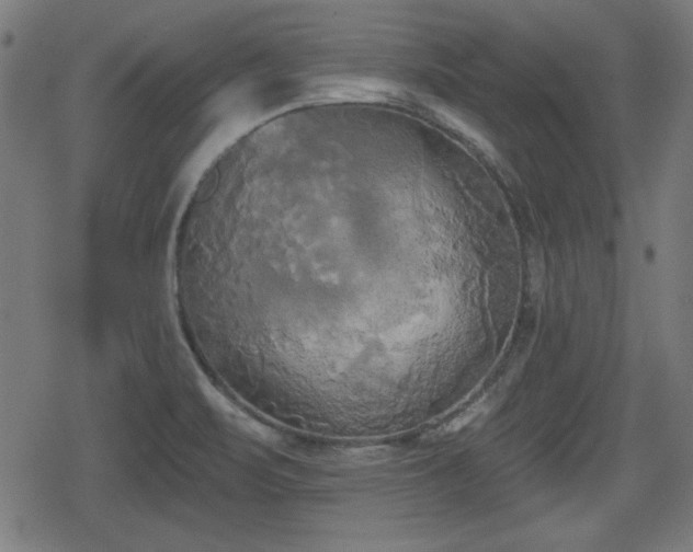 X0000078291471200611101056