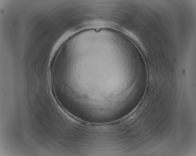 X0000078291472200611101056