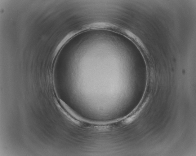 X0000078291473200611101056