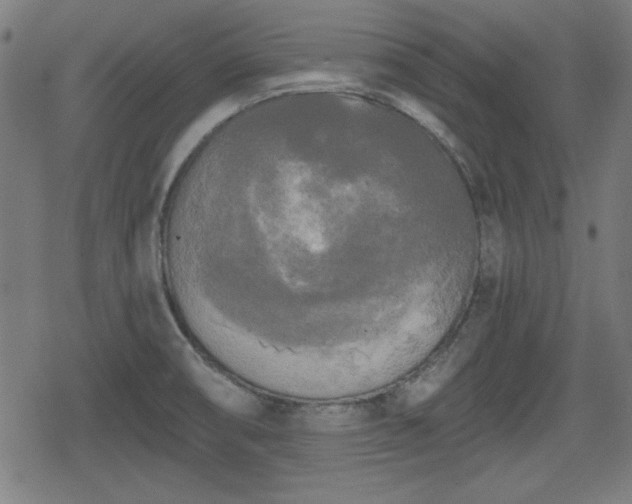 X0000078291474200611101056