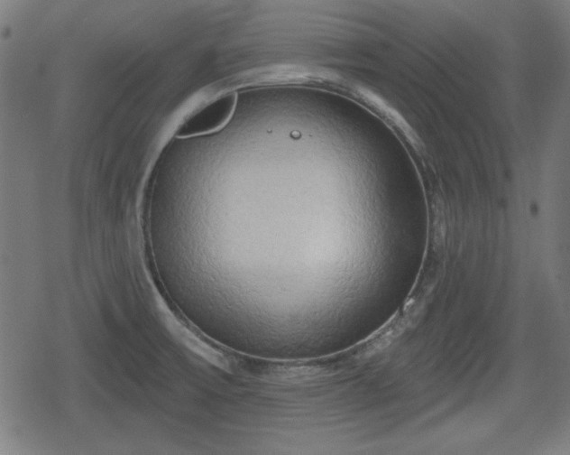 X0000078291475200611101056