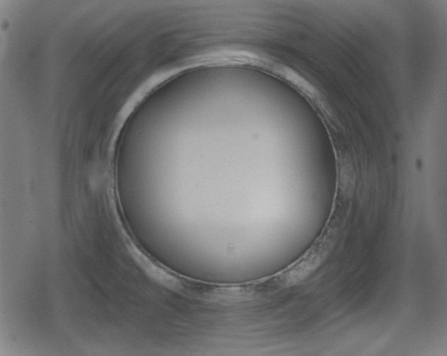 X0000078291478200611101056