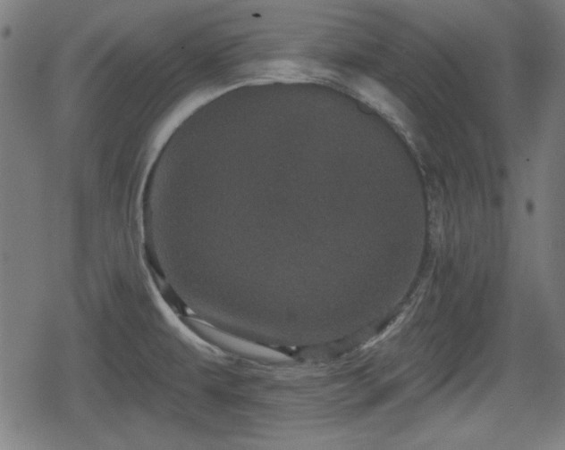 X0000078291479200611101056