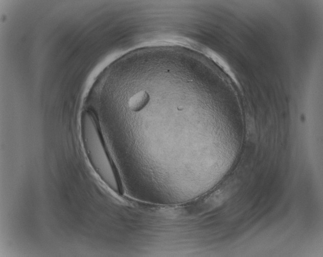 X0000078291480200611101056