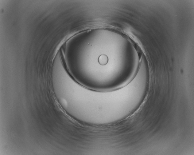 X0000078291481200611101056