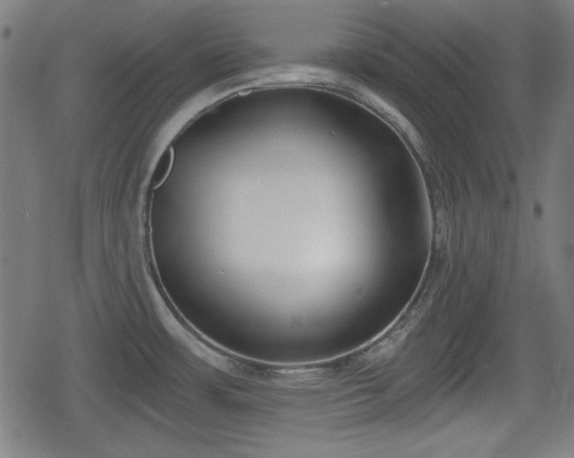 X0000078291483200611101056