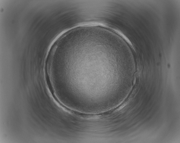 X0000078291484200611101056