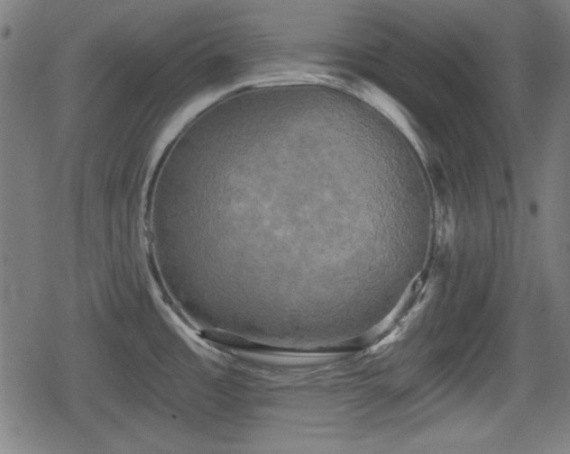 X0000078291485200611101056