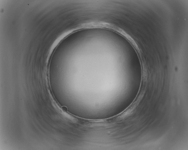 X0000078291486200611101056