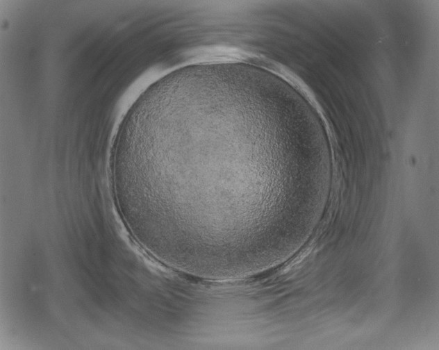 X0000078291488200611101056