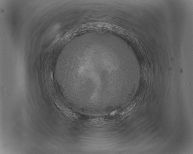 X0000078291489200611101055