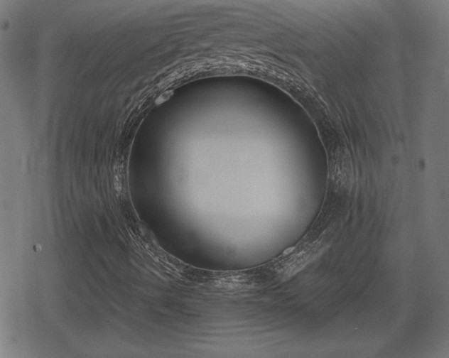 X0000078291490200611101055