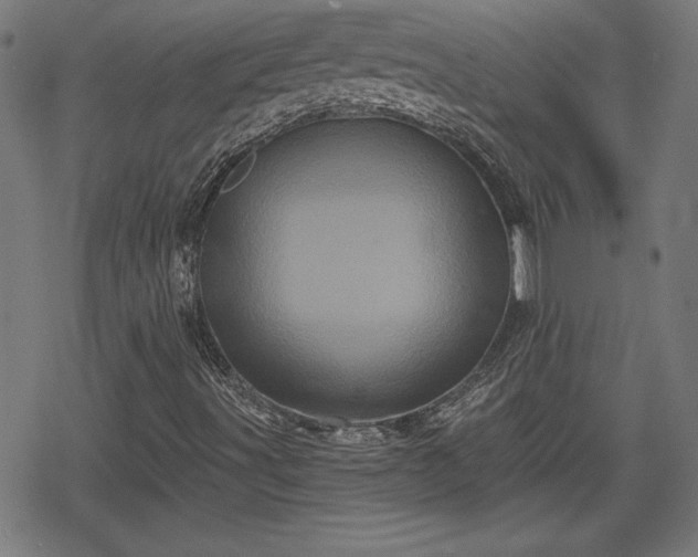 X0000078291491200611101055