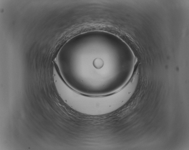 X0000078291492200611101055